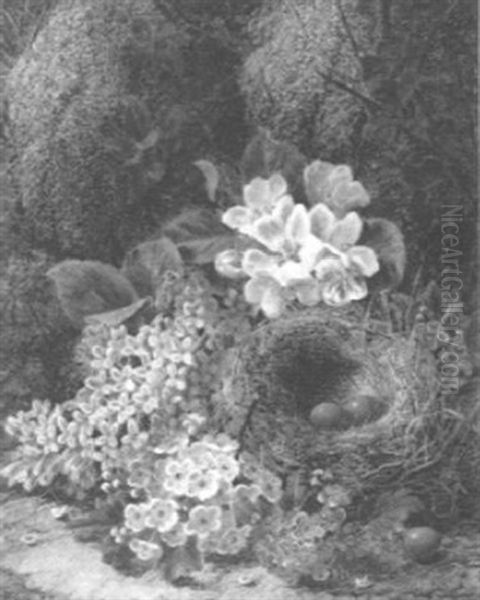Still Life With Blossom And Bird's Nest - view 1