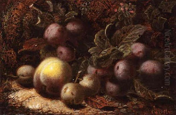 Plums And Peaches On A Mossy Bank - view 1