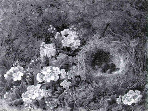 Bird's Nest And Blossom - view 1