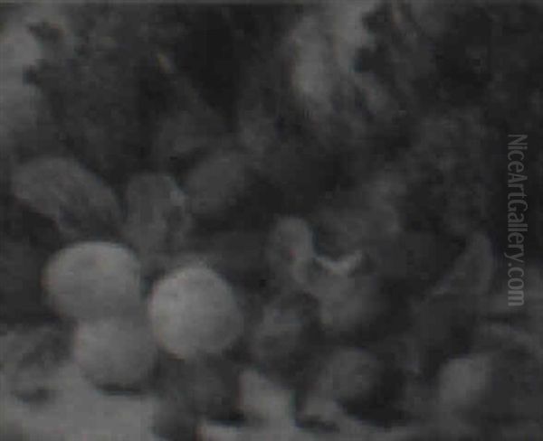 Still Life Of Plums And Strawberries - view 1
