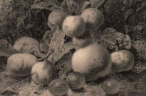Plums, Gooseberries And An Apple On A Mossy Bank