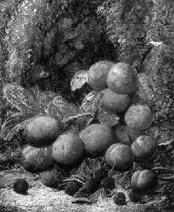 Stilleben Mit Pflaumen by Oliver Clare