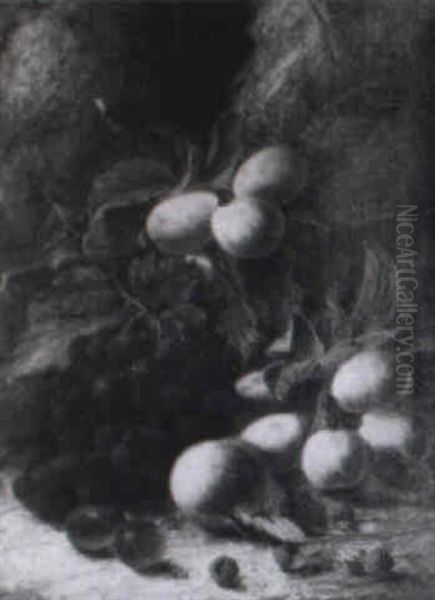 Still Life Of Grapes, Gooseberries...on A Mossy Bank - view 1