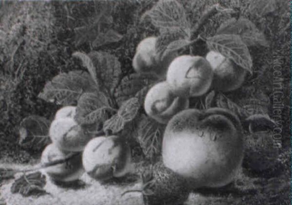 Fruit Still Life On Mossy Bank - view 1