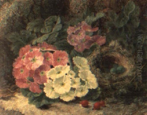 Spring Blossoms And A Bird's Nest On A Mossy Bank - view 1