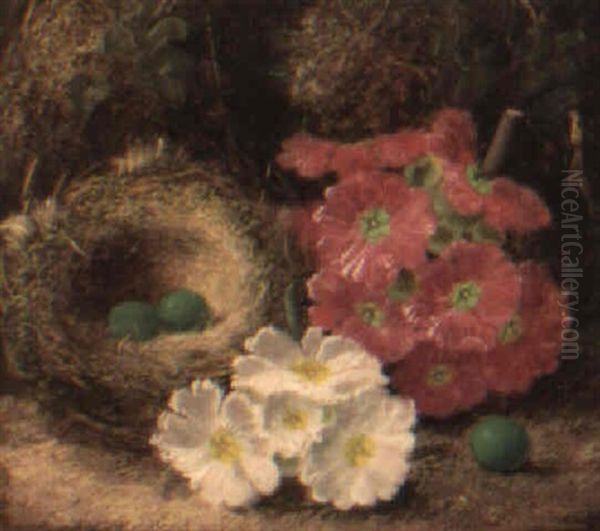 Apple Blossom, Flowers And A Bird's Nest On A Mossy Bank - view 1