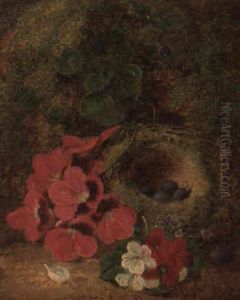 A Bird's Nest And Primulas On A Mossy Bank
