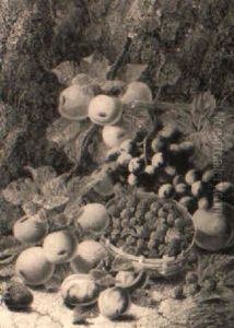 Still Life Of Raspberries, Apples, Plums And A Peach by Oliver Clare