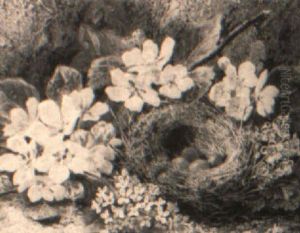Still Life With Primroses And A Bird's Nest by Oliver Clare