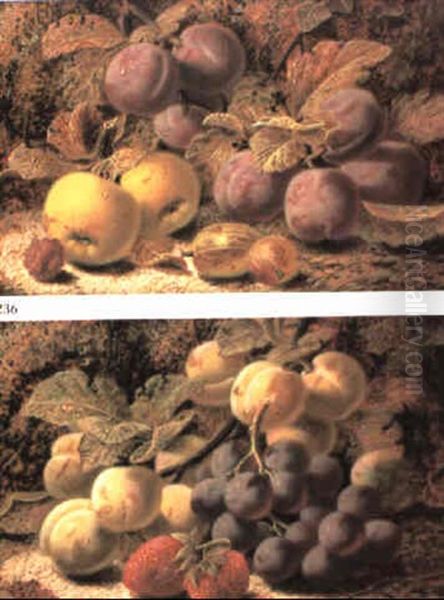 Summer Fruits - view 1