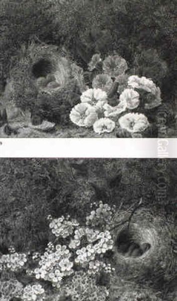 Blossom And Birds' Nests By A Bank - view 1
