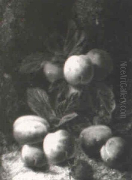 Still Life Of Grapes, Plums And Raspberries - view 1