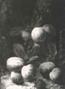 Still Life Of Grapes, Plums And Raspberries