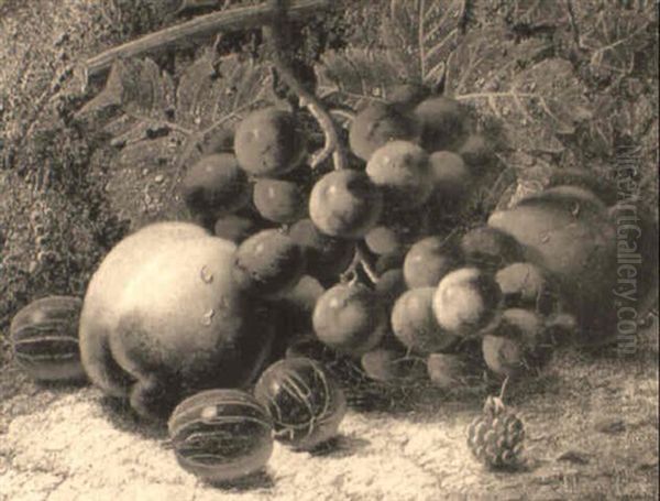 Gooseberries, Grapes, Peaches And A Raspberry On A Mossy Bank - view 1