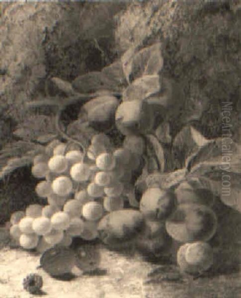 Still Life Of Grapes, Plums And Various Berries - view 1