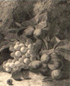 Still Life Of Grapes, Plums And Various Berries by Oliver Clare
