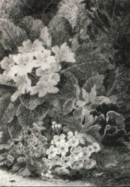 Still Life With Primulas, Primrose And Pansies - view 1