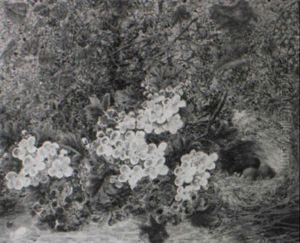 Still Life Of Blossoms And Bird's Nest - view 1