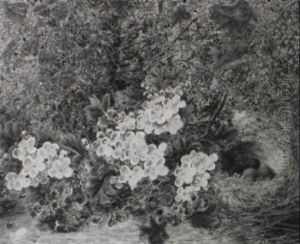Still Life Of Blossoms And Bird's Nest by Oliver Clare
