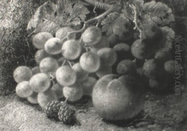 Grapes, Raspberries And An Apple On A Mossy Bank - view 1