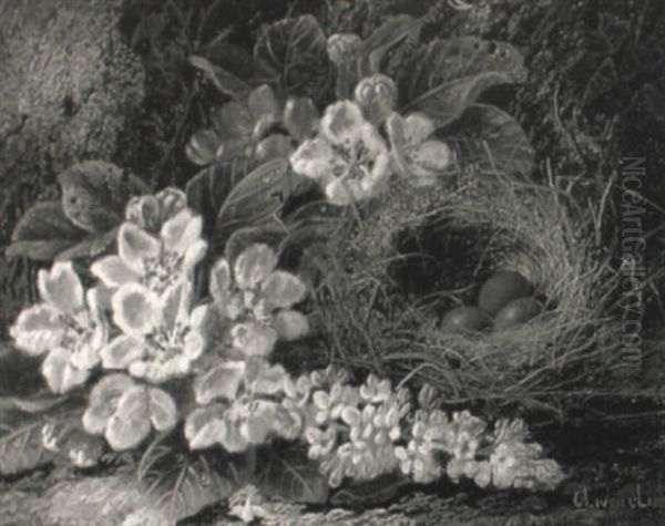 Grapes, Plums, An Apple And A Strawberry On A Bank - view 1