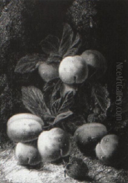 Still Life Of Vine, Grapes, Plums And Rasberries - view 1