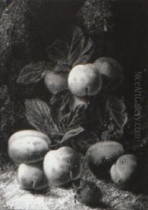 Still Life Of Vine, Grapes, Plums And Rasberries by Oliver Clare