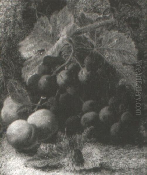 Still Life Of Vine, Grapes, Plums And Raspberries - view 1