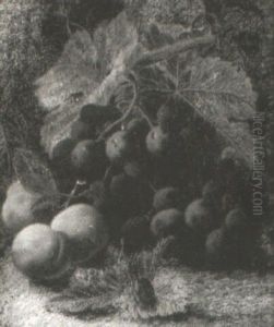 Still Life Of Vine, Grapes, Plums And Raspberries