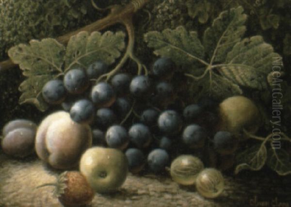 Plums And Other Fruit On A Mossy Bank - view 1