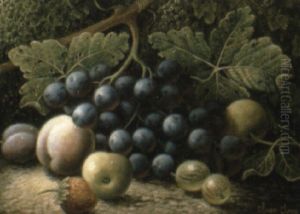 Plums And Other Fruit On A Mossy Bank Plums And Other Fruit On A Mossy Bank
