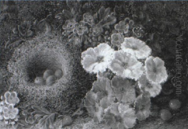 Still Life Of A Bird's Nest And Blossom - view 1