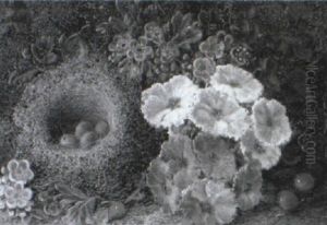 Still Life Of A Bird's Nest And Blossom by Oliver Clare
