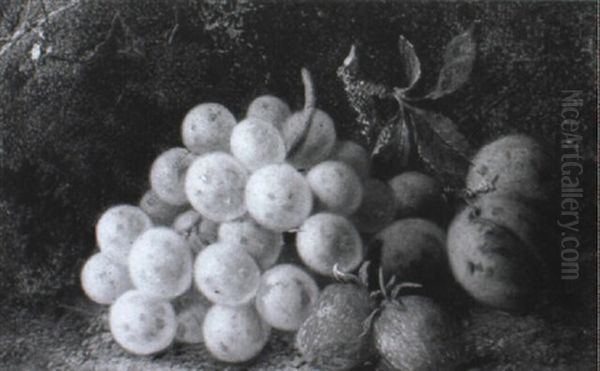 Still Life Of Grapes, Strawberries And Plums - view 1