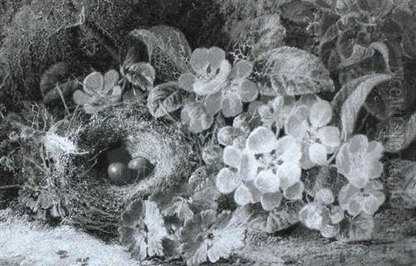 Still Lifes - view 1