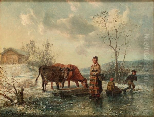 Cows - view 1