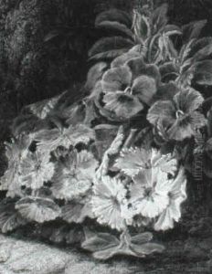 Still Life With Primulas And Pansies by Oliver Clare