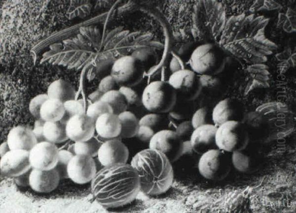 Still Life With Berries - view 1