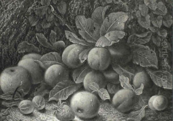 Mixed Fruits By A Mossy Bank - view 1