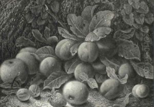 Mixed Fruits By A Mossy Bank Mixed Fruits By A Mossy Bank