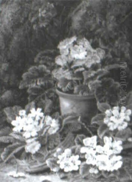 Potted African Violets On A Mossy Bank - view 1