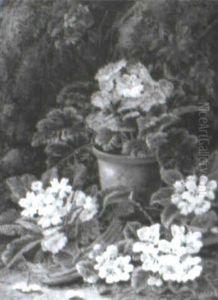Potted African Violets On A Mossy Bank Potted African Violets On A Mossy Bank