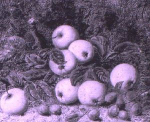 Still Life With Apples And Grapes by Oliver Clare