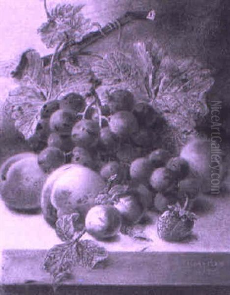 Still Lifes Of Fruit - view 1