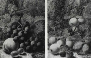 Still Life With Apples, Plums And Strawberries; Still Life With Grpaes, A Peach, Goosberries And Rapsberry by Oliver Clare