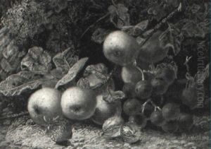 Still Life Study Of Apples, Grapes And Other Fruit by Oliver Clare