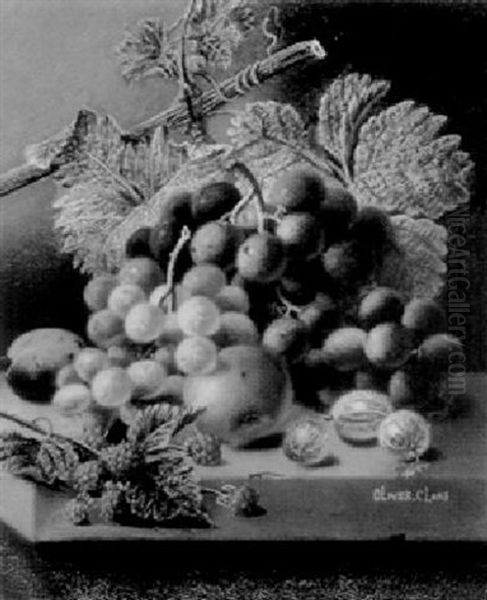 Grapes And Plums On A Ledge - view 1