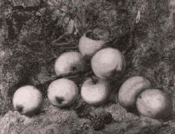 Still Life Of Apples, Plums And Rasberries On A Mossy Bank - view 1