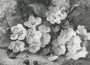 Still Life Of Apple Blossom And Rose Hips
