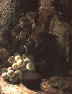 Still Life Of Grapes Still Life Of Grapes